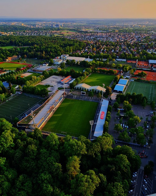 的努力并制 的努力并制