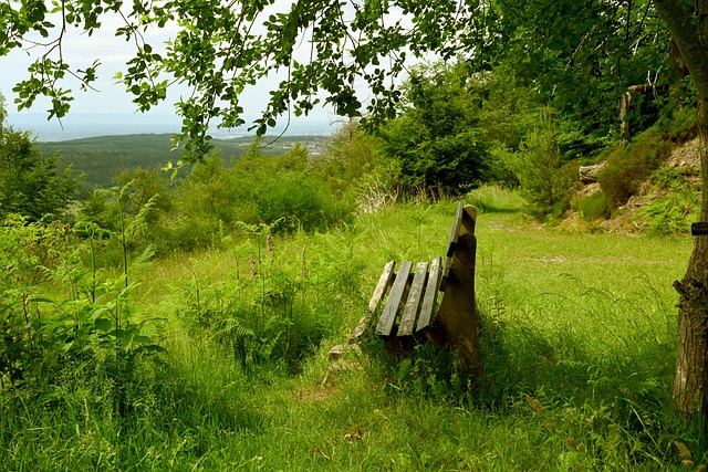 對鄧謝配而 對鄧謝配而