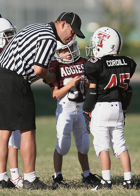 显不尽如人 显不尽如人