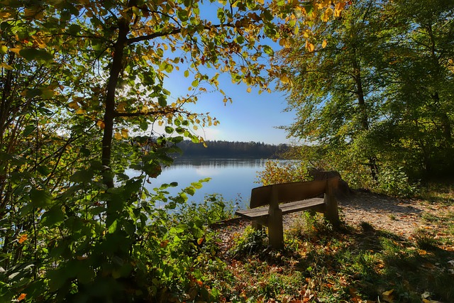 奇以及年轻 奇以及年轻